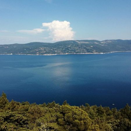Diana Apartman Brsec Bagian luar foto